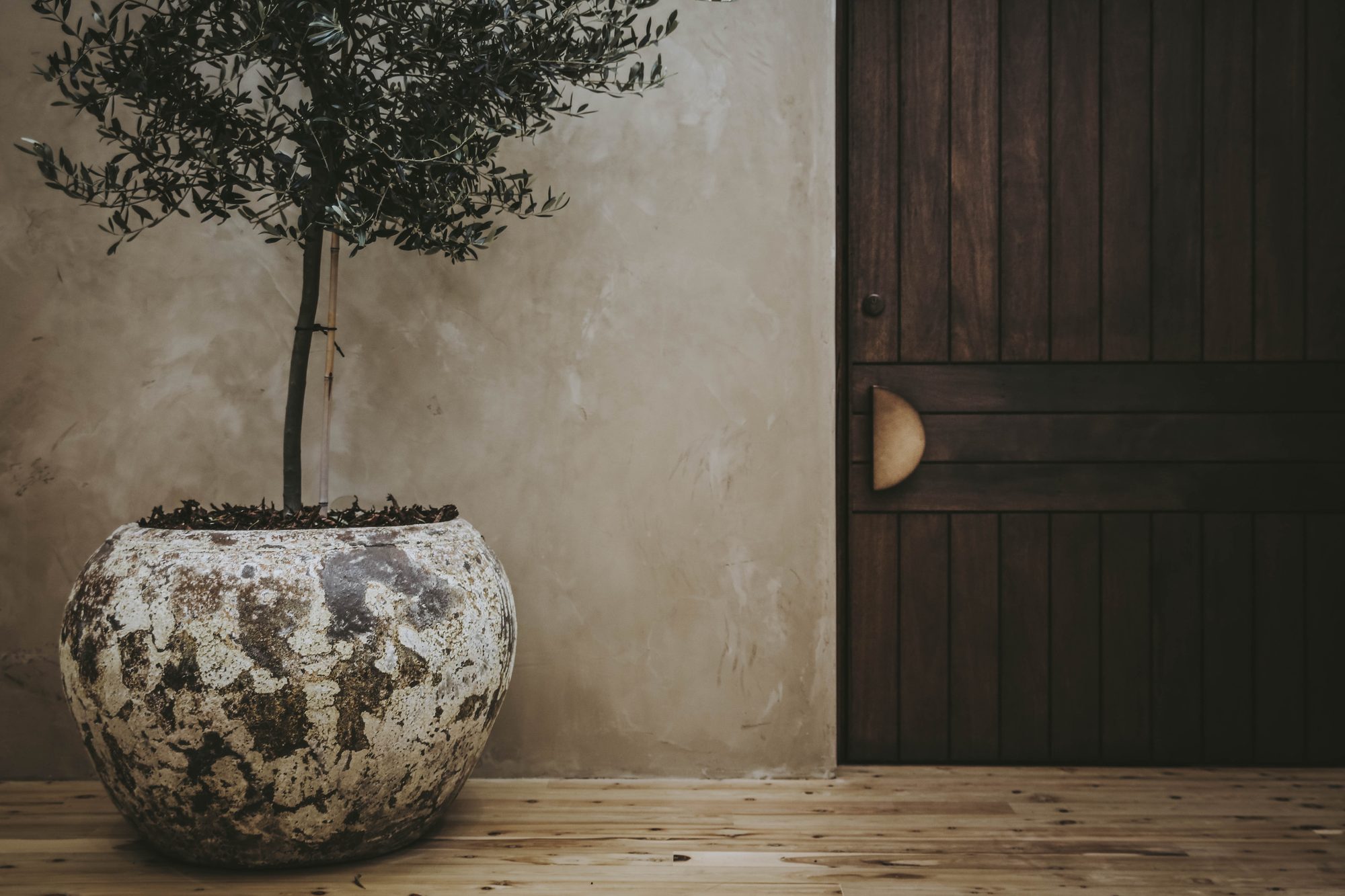 Aesthete Sunshine Coast, Sunshine Coast, QLD — Ibiza Plaster by Mineral Fox